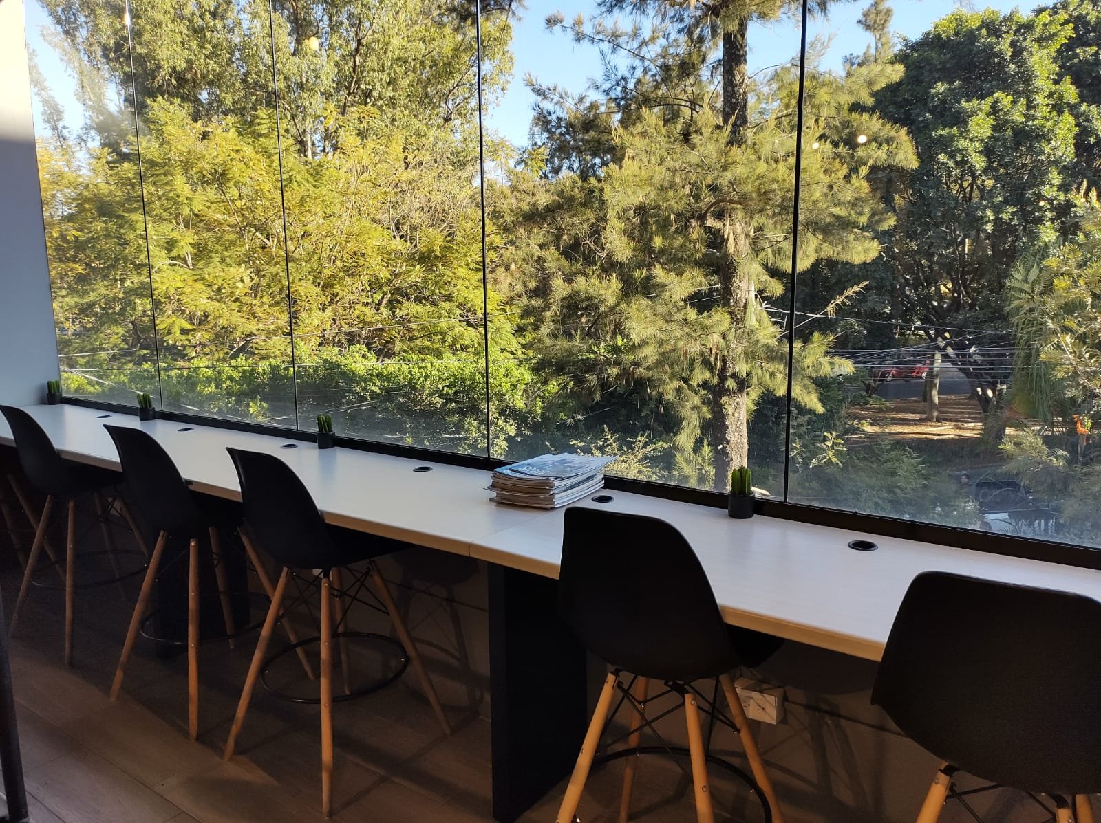 Área de Comedor